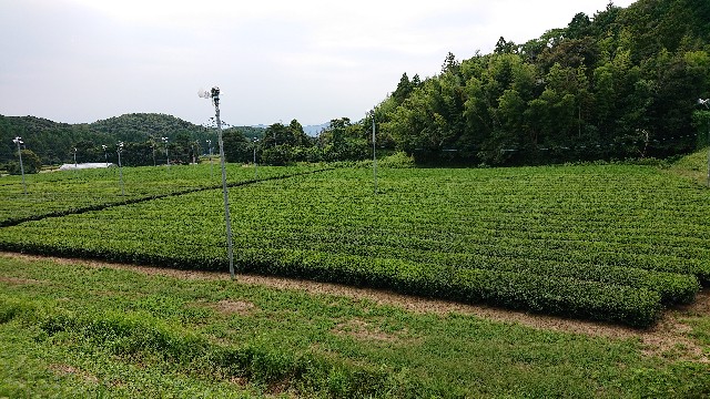 f:id:kuma4471:20200916165552j:image