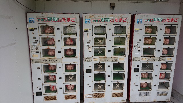 f:id:kuma4471:20200916165654j:image