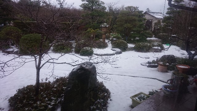 f:id:kuma4471:20201231080616j:image