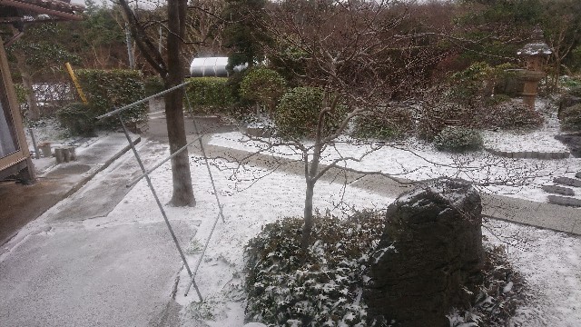 f:id:kuma4471:20210108154432j:image