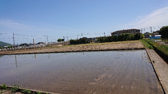 f:id:kuma4471:20210506163824j:image
