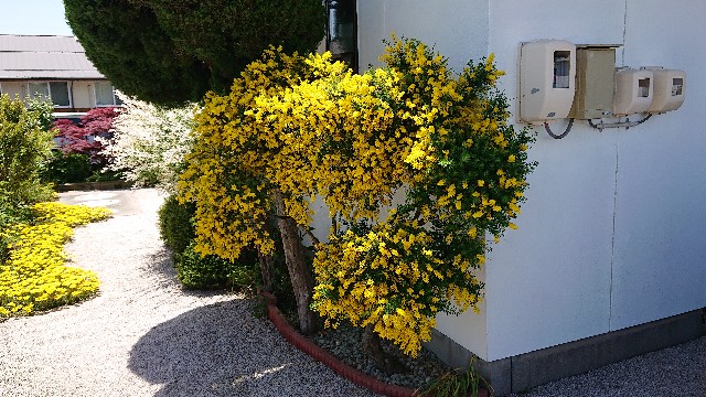 f:id:kuma4471:20210506163914j:image