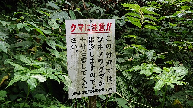 f:id:kuma4471:20210818132331j:image
