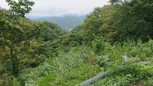 f:id:kuma4471:20210818132429j:image
