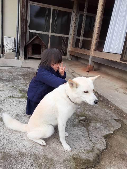 f:id:kuma4471:20211030085155j:image