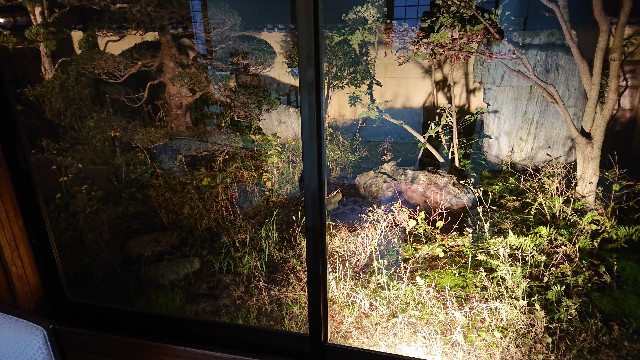 f:id:kuma4471:20211127211809j:image