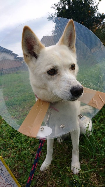 f:id:kuma4471:20211130204341j:image f:id:kuma4471:20211130204341j:image