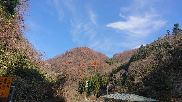 f:id:kuma4471:20211206162123j:image