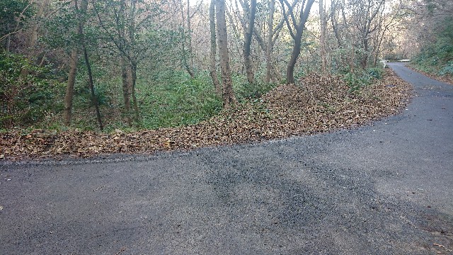 f:id:kuma4471:20211206162147j:image