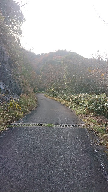 f:id:kuma4471:20211206162210j:image