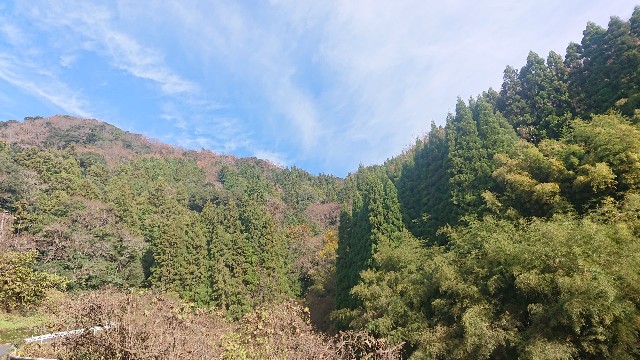 f:id:kuma4471:20211206162231j:image