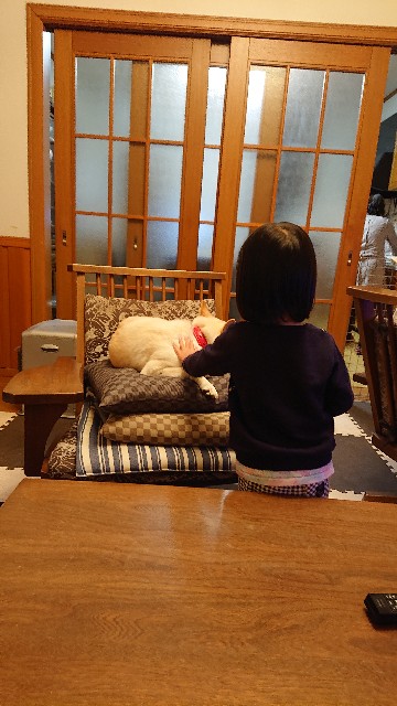 f:id:kuma4471:20211229175946j:image
