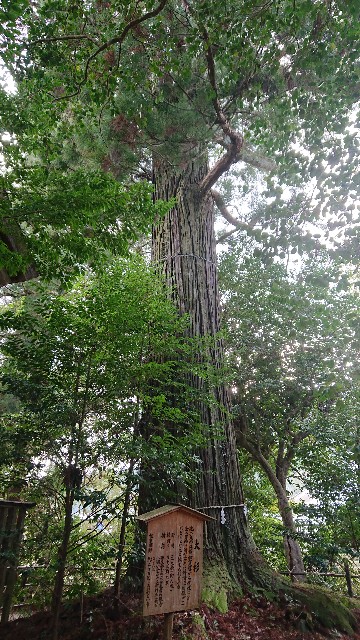 f:id:kuma4471:20220104144621j:image