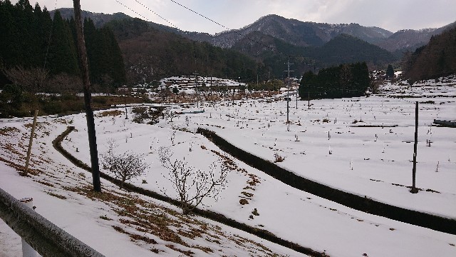f:id:kuma4471:20220104144707j:image