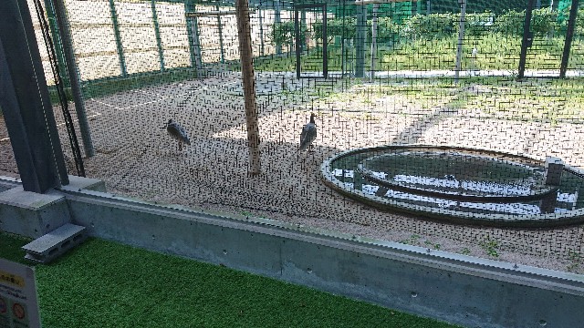 f:id:kuma4471:20220506171432j:image