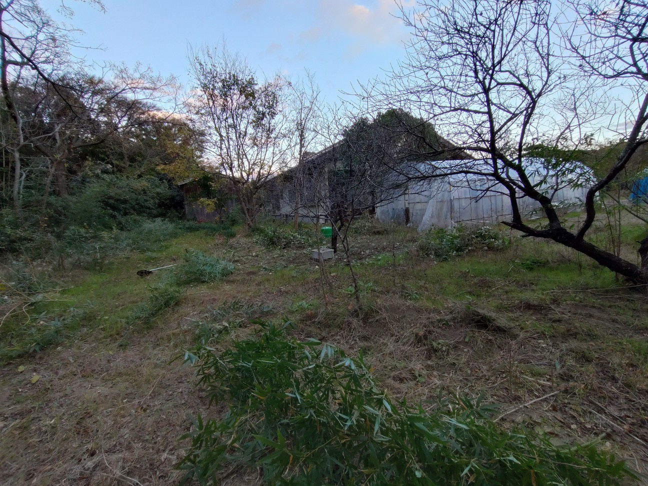 f:id:kuma4471:20251206165533j:image