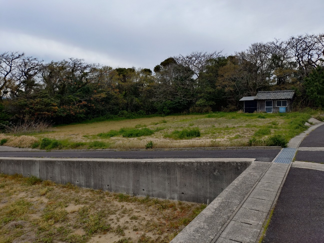 f:id:kuma4471:20260409124859j:image