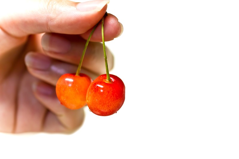 f:id:kuma85:20211003202357j:plain