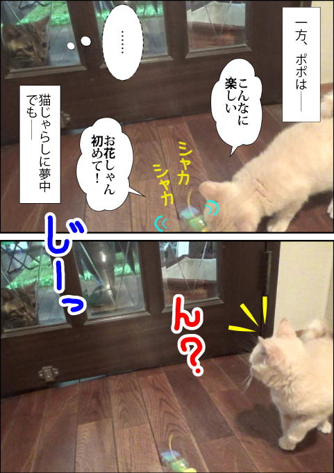 f:id:kuma_and_popo:20190407190645j:plain