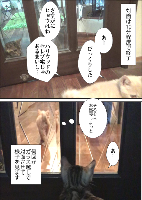f:id:kuma_and_popo:20190407191015j:plain