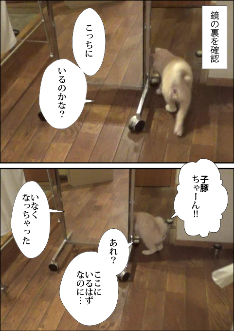 f:id:kuma_and_popo:20190407191226j:plain