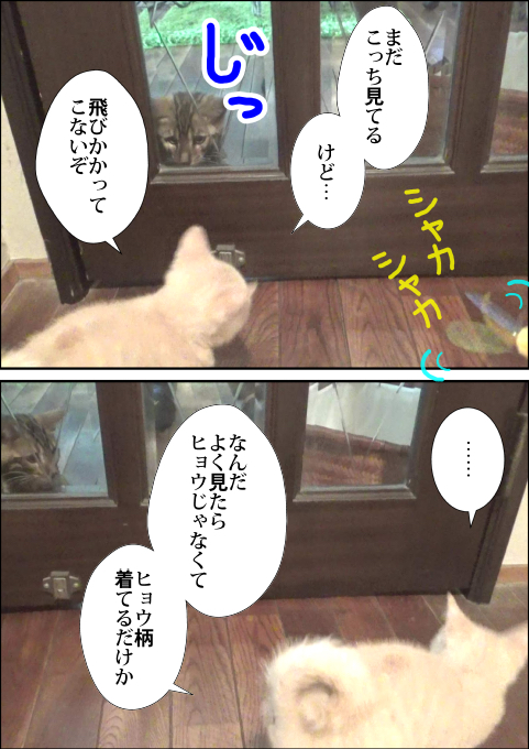 f:id:kuma_and_popo:20190408132132j:plain