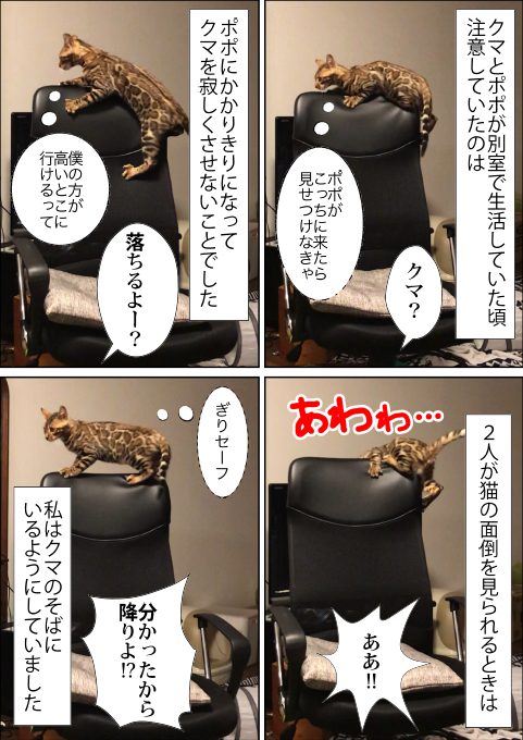 f:id:kuma_and_popo:20190411184454j:plain