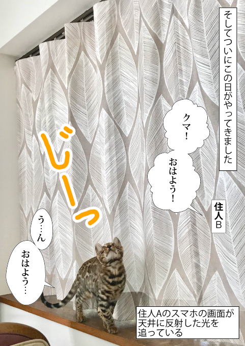 f:id:kuma_and_popo:20190413190132j:plain