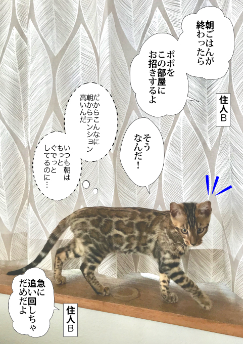 f:id:kuma_and_popo:20190413190215j:plain