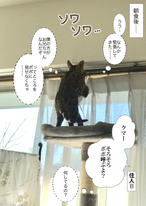 f:id:kuma_and_popo:20190413190236j:plain