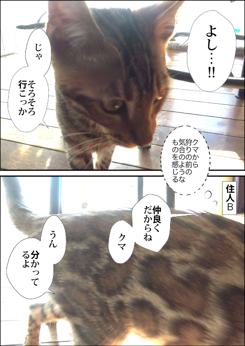 f:id:kuma_and_popo:20190413190850j:plain