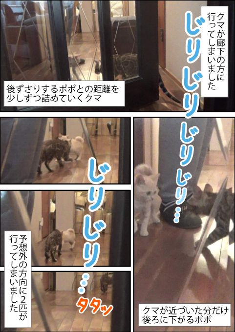 f:id:kuma_and_popo:20190413191020j:plain