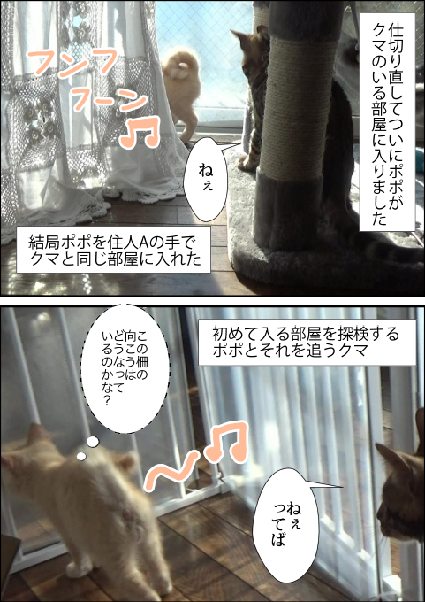 f:id:kuma_and_popo:20190413191043j:plain