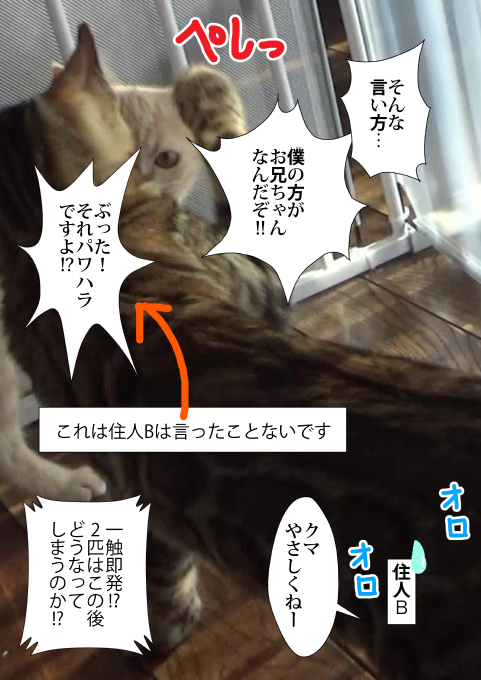 f:id:kuma_and_popo:20190413191131j:plain