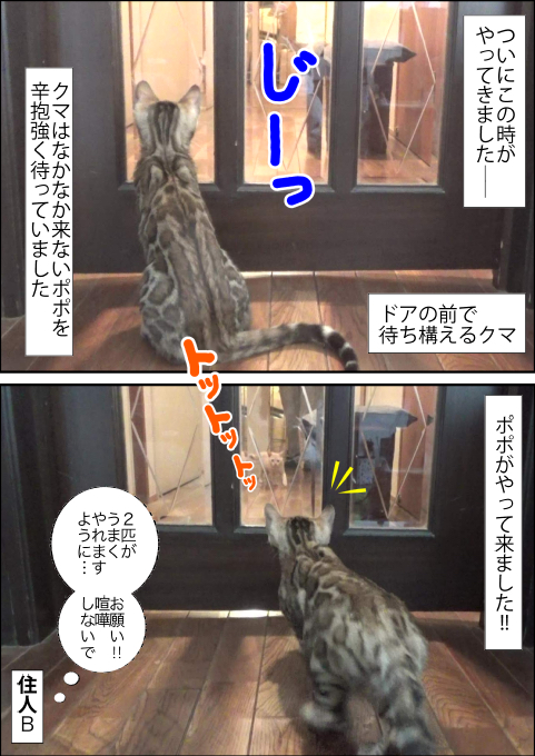 f:id:kuma_and_popo:20190413213403j:plain