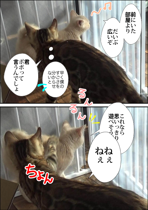 f:id:kuma_and_popo:20190413213611j:plain