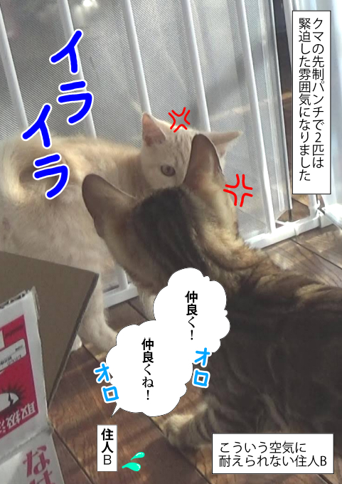 f:id:kuma_and_popo:20190417175411j:plain