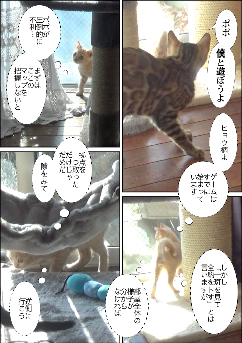 f:id:kuma_and_popo:20190417175825j:plain