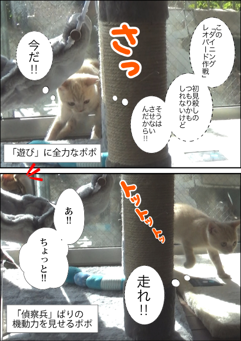 f:id:kuma_and_popo:20190417175847j:plain