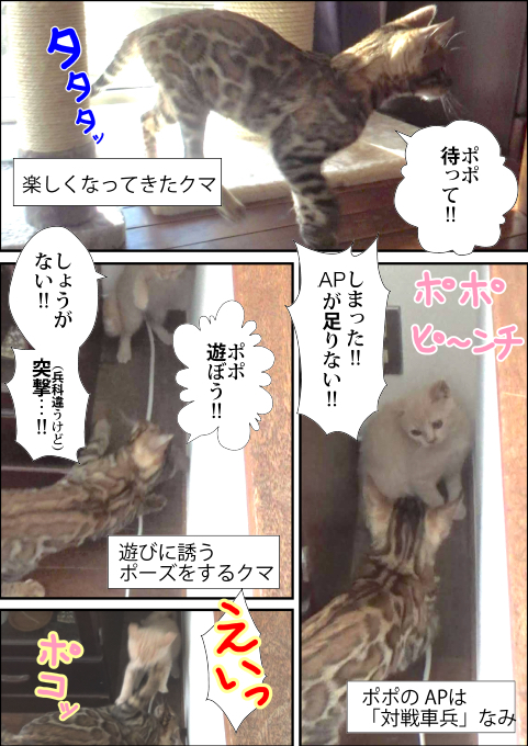 f:id:kuma_and_popo:20190417175903j:plain