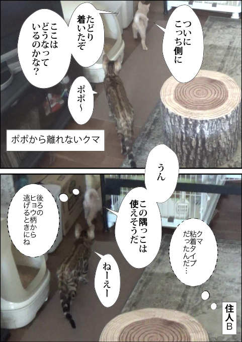 f:id:kuma_and_popo:20190417175942j:plain