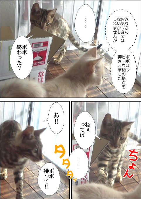 f:id:kuma_and_popo:20190417191028j:plain