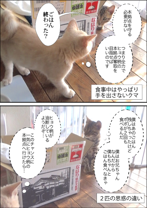 f:id:kuma_and_popo:20190421231751j:plain