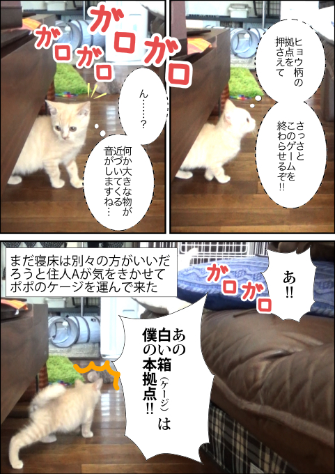 f:id:kuma_and_popo:20190421231828j:plain