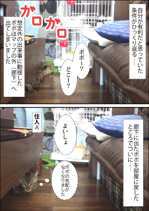 f:id:kuma_and_popo:20190421231849j:plain