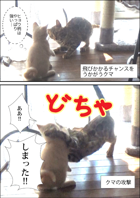 f:id:kuma_and_popo:20190421231927j:plain