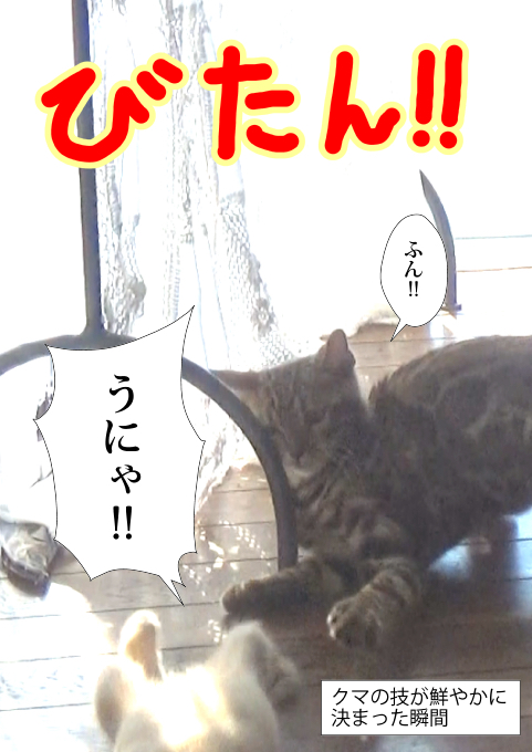 f:id:kuma_and_popo:20190421231947j:plain