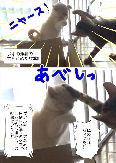 f:id:kuma_and_popo:20190421235341j:plain