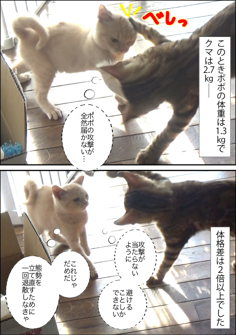 f:id:kuma_and_popo:20190425233117j:plain