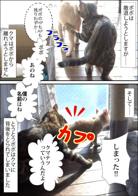 f:id:kuma_and_popo:20190425233134j:plain